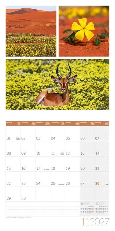 Produktbild: Colours of Nature Kalender 2027 - 30x30 - Art12