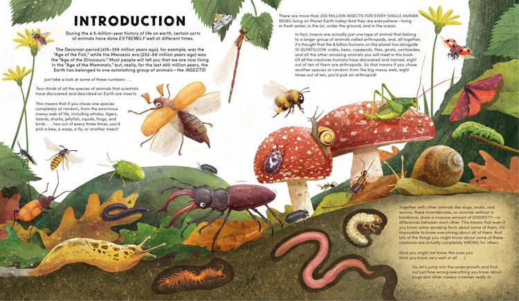 Produktbild: Everything You Know about Bugs (and Other Tiny Creatures) Is Wrong!