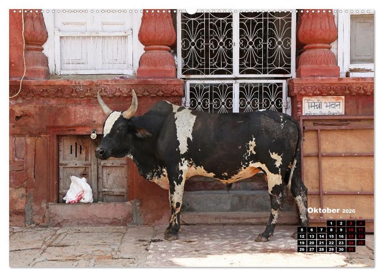 Produktbild: Typisch Indien - Unterwegs in Rajasthan (Wandkalender 2026 DIN A2 quer), CALVENDO Monatskalender