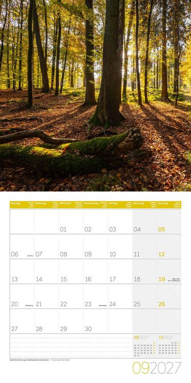 Produktbild: Zauber des Waldes Kalender 2027 - 30x30 - Art12