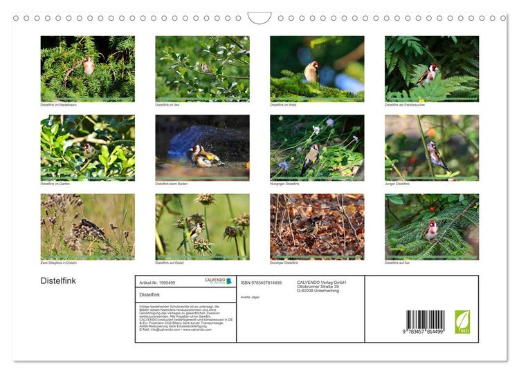 Produktbild: Distelfink (Wandkalender 2026 DIN A3 quer), CALVENDO Monatskalender