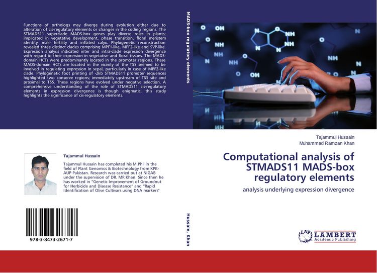 Produktbild: Computational analysis of STMADS11 MADS-box regulatory elements
