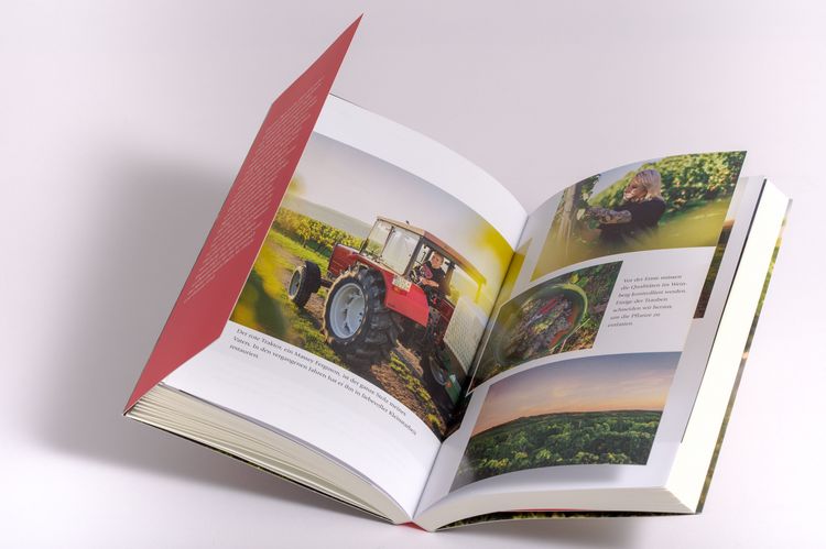 Produktbild: Wild im Herzen