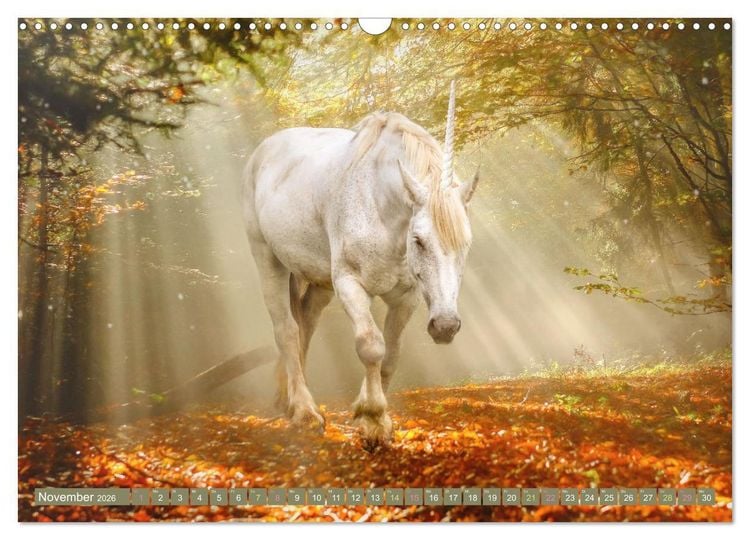 Produktbild: Einhorn Zauber - anmutige Einhornbilder (Wandkalender 2026 DIN A3 quer), CALVENDO Monatskalender