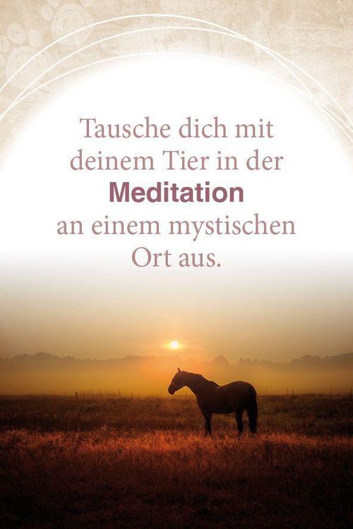 Produktbild: Mit Tieren kommunizieren