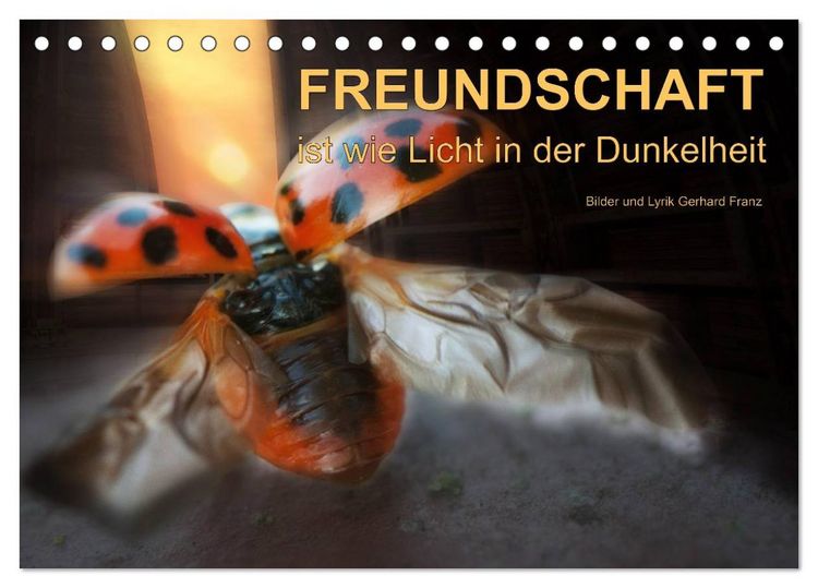 Produktbild: Freundschaft (Tischkalender 2026 DIN A5 quer), CALVENDO Monatskalender