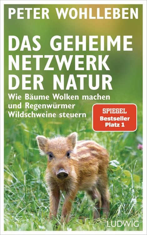 Produktbild: Das geheime Netzwerk der Natur