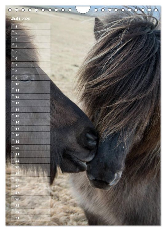 Produktbild: Mein ISLANDPFERDE Planer - Geburtstage, Hof-Feste, Turniere (Wandkalender 2026 DIN A4 hoch), CALVENDO Monatskalender