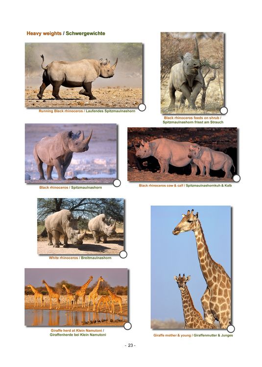 Produktbild: ETOSHA KARTE mit Fotogalerie