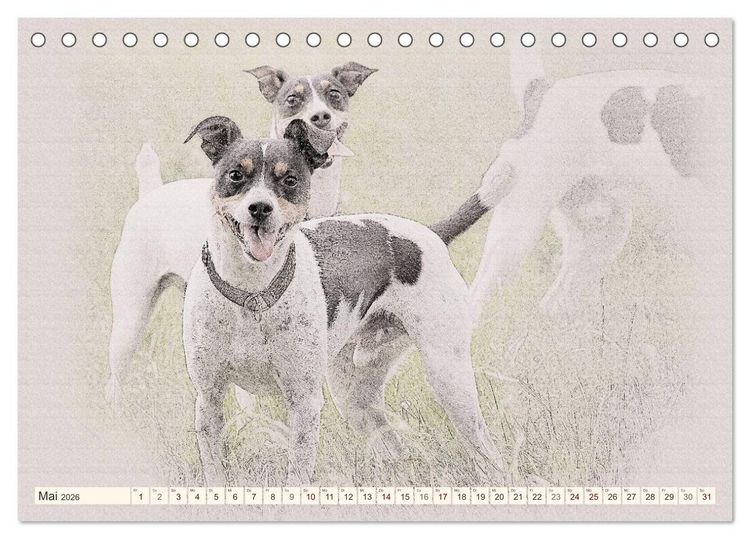 Produktbild: Bodeguero Andaluz 2026 (Tischkalender 2026 DIN A5 quer), CALVENDO Monatskalender