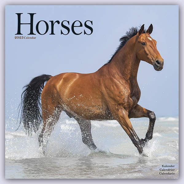 Produktbild: Horses &ndash; Pferde 2023 - 16-Monatskalender