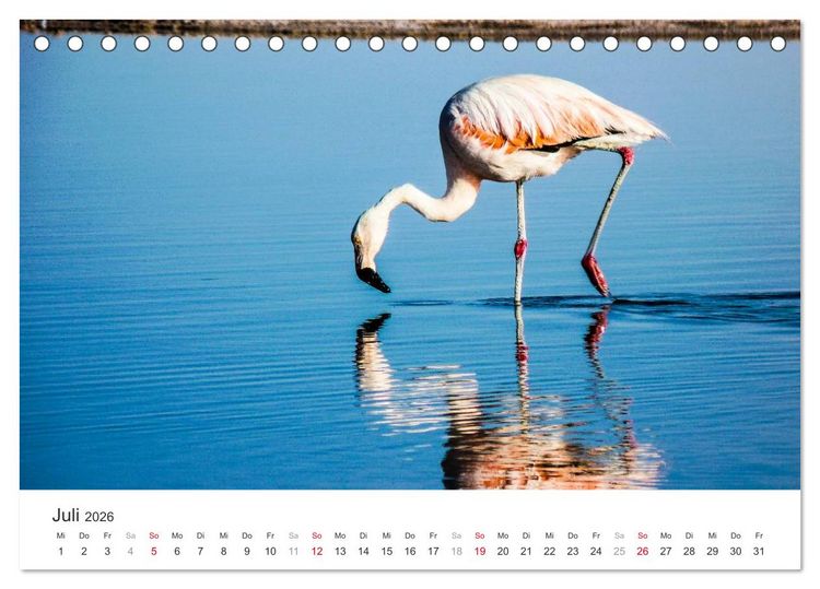 Produktbild: Chile - Land voller Kontraste (Tischkalender 2026 DIN A5 quer), CALVENDO Monatskalender