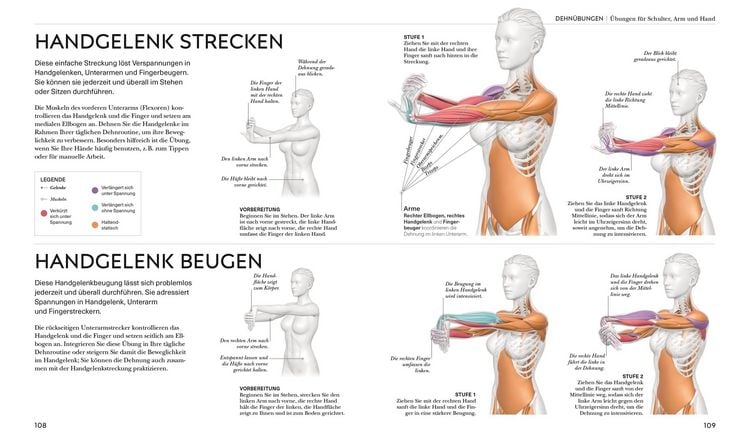 Produktbild: Stretching - Die Anatomie verstehen