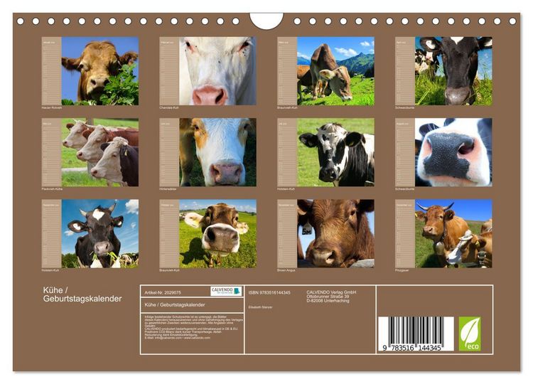 Produktbild: K&uuml;he / Geburtstagskalender (Wandkalender 2026 DIN A4 quer), CALVENDO Monatskalender
