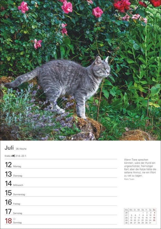 Produktbild: Katzen Wochenplaner 2027 - 53 faszinierende Fotografien