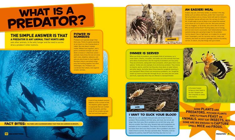 Produktbild: National Geographic Kids Everything Predators