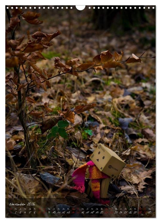 Produktbild: Ein Jahr voller Danbo (Wandkalender 2026 DIN A3 hoch), CALVENDO Monatskalender