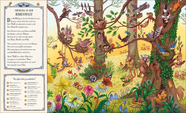 Produktbild: Wer wohnt denn da im tiefen Wald?