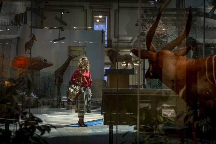 Produktbild: Wonder Woman 1984
