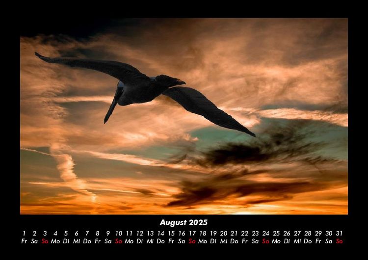 Produktbild: Bilder aus der Natur 2025 Fotokalender DIN A3