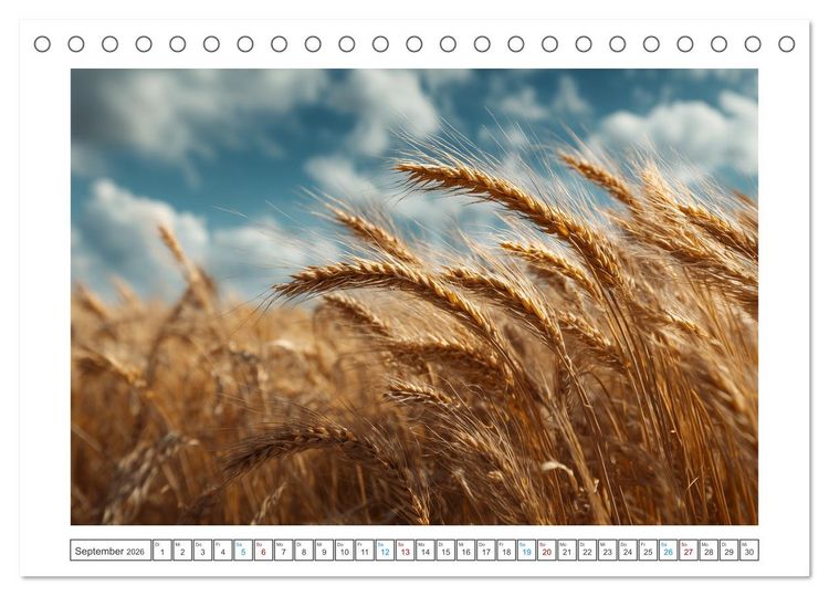 Produktbild: Nat&uuml;rliche Harmonie (Tischkalender 2026 DIN A5 quer), CALVENDO Monatskalender