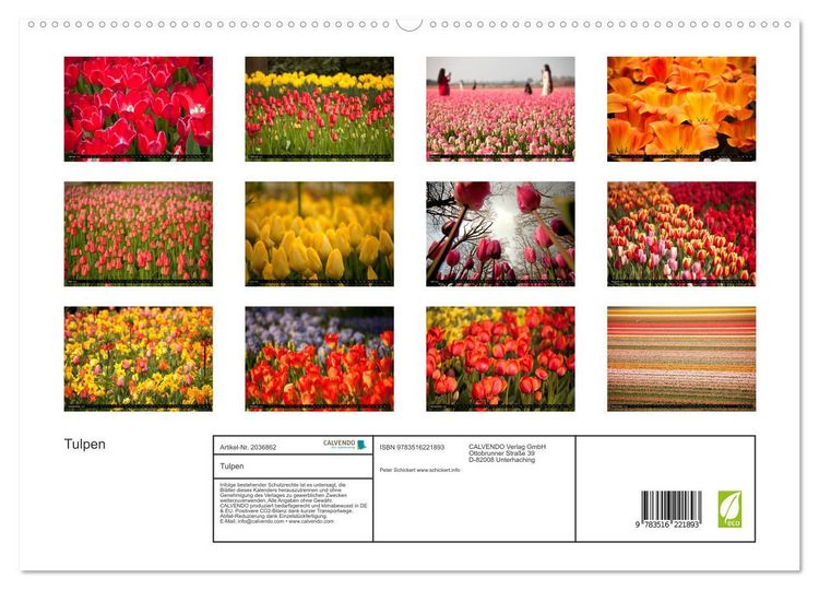 Produktbild: Tulpen (hochwertiger Premium Wandkalender 2026 DIN A2 quer), Kunstdruck in Hochglanz