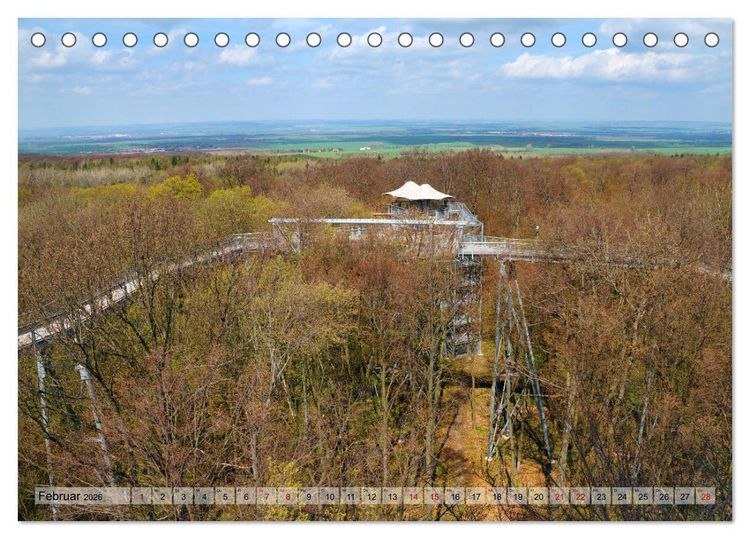 Produktbild: Der Hainich in Th&uuml;ringen - Weltnaturerbe (Tischkalender 2026 DIN A5 quer), CALVENDO Monatskalender