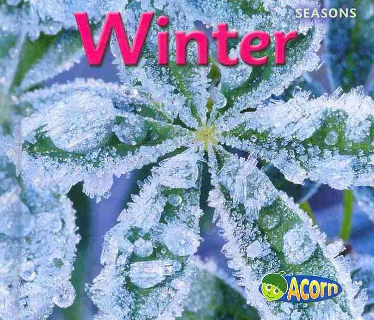 Produktbild: Seasons Set-4pk