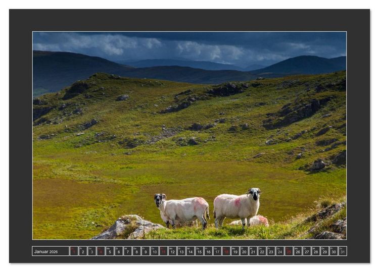 Produktbild: IRLAND - Insel der gl&uuml;cklichen Schafe (Tischkalender 2026 DIN A5 quer), CALVENDO Monatskalender
