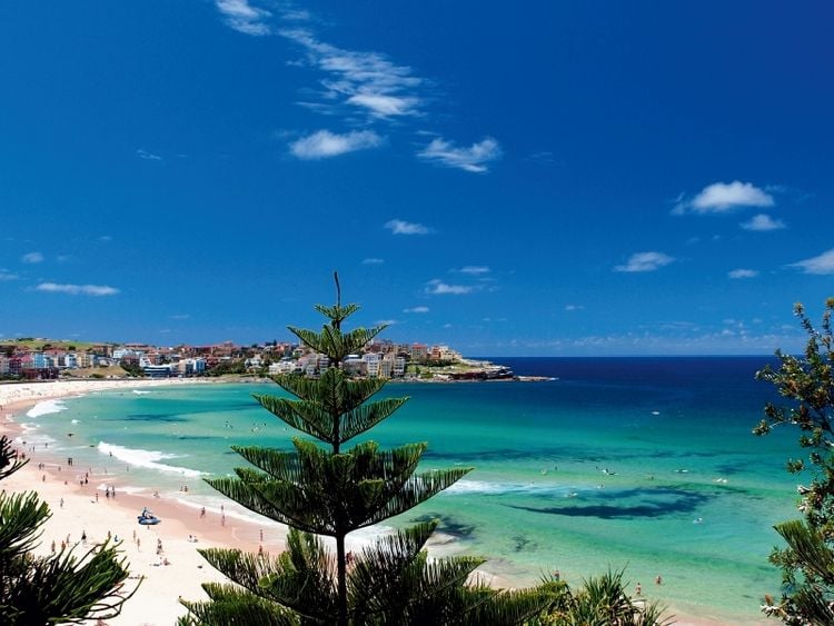 Produktbild: CALVENDO Puzzle SYDNEY Bondi Beach | 1000 Teile Lege-Gr&ouml;&szlig;e 64x48cm Foto-Puzzle f&uuml;r gl&uuml;ckliche Stunden