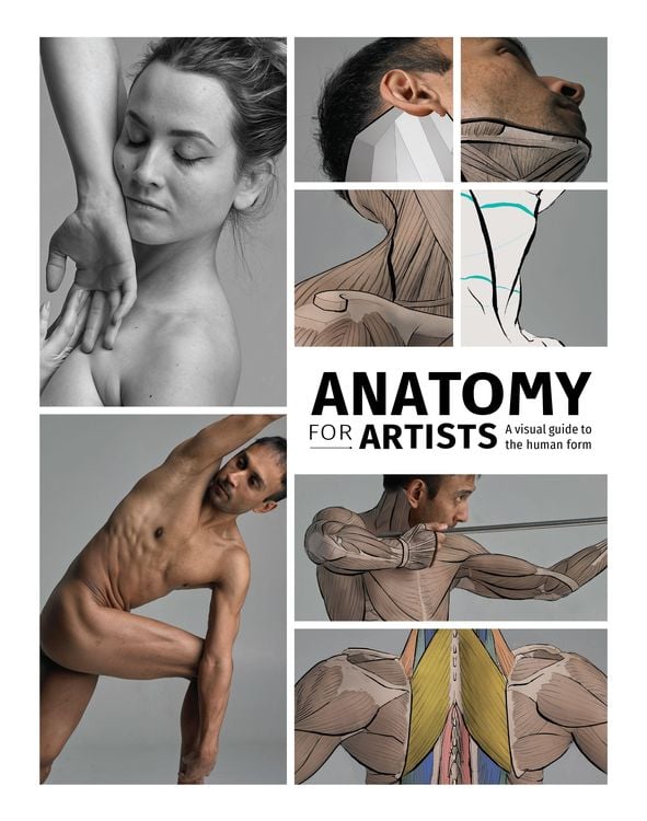 Produktbild: Anatomy for Artists