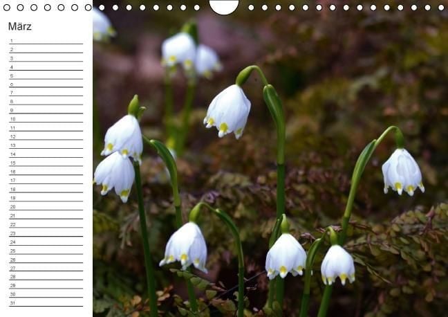 Produktbild: Ich denk an Dich ... Pers&ouml;nlicher Terminkalender (Wandkalender immerw&auml;hrend DIN A4 quer)