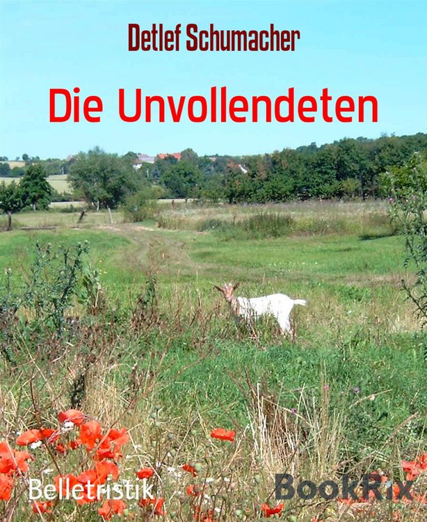 Produktbild: Die Unvollendeten