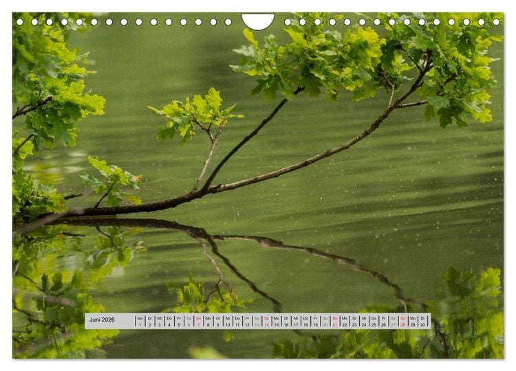 Produktbild: Perlen des Westerwaldes (Wandkalender 2026 DIN A4 quer), CALVENDO Monatskalender