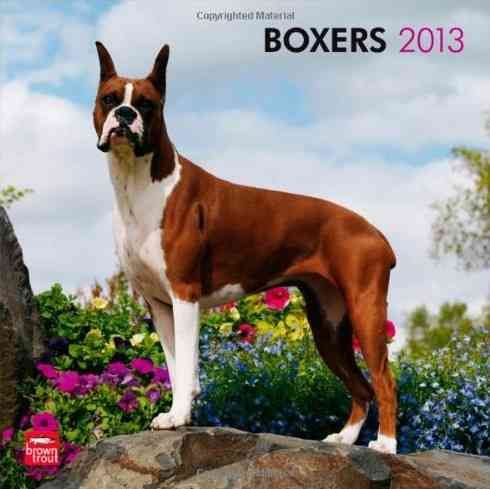 Produktbild: Boxers