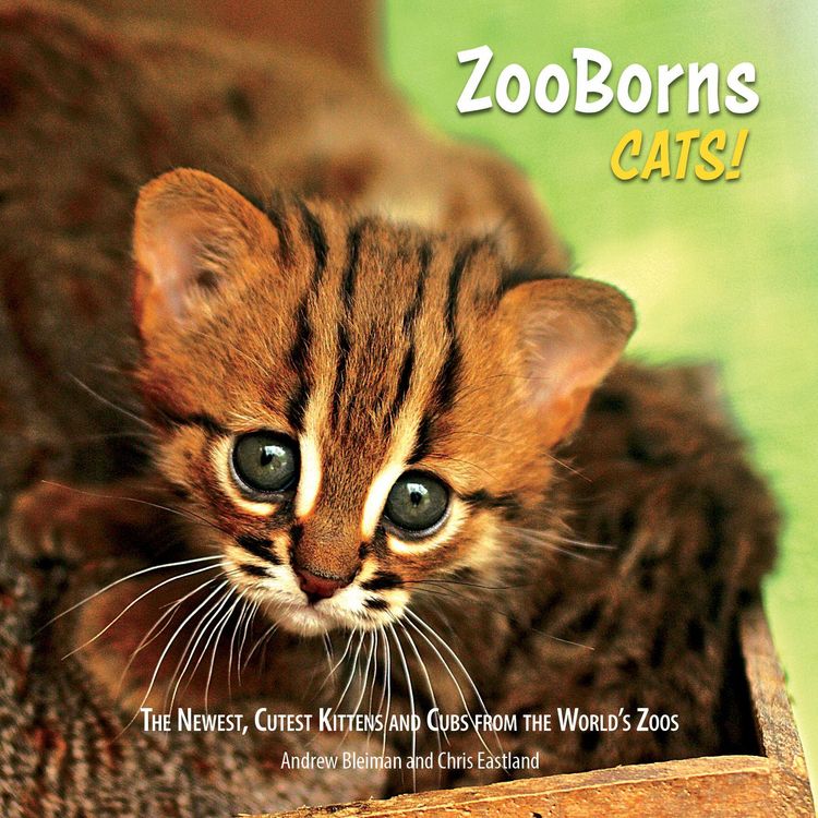 Produktbild: ZooBorns Cats!