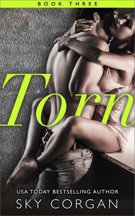Produktbild: Torn - Book Three (Torn Series, #3)