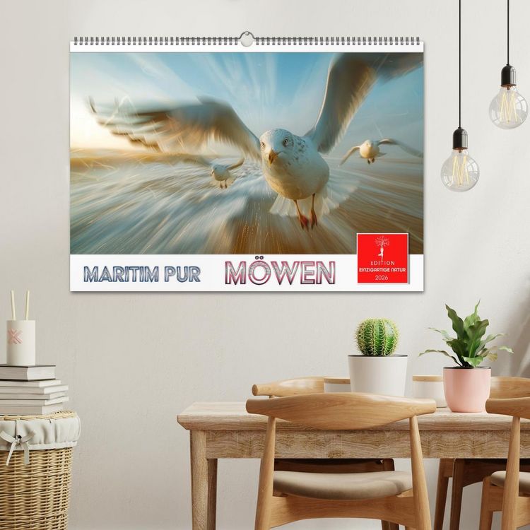 Produktbild: Maritim pur - M&ouml;wen (Wandkalender 2026 DIN A2 quer), CALVENDO Monatskalender