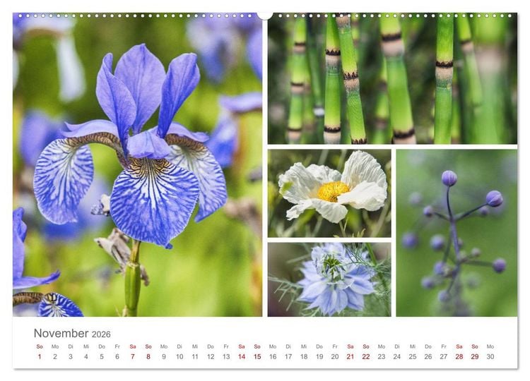 Produktbild: Ein Garten, der zum Verweilen einl&auml;dt (Wandkalender 2026 DIN A2 quer), CALVENDO Monatskalender