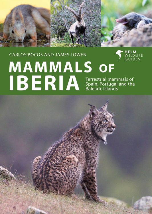 Produktbild: Mammals of Iberia