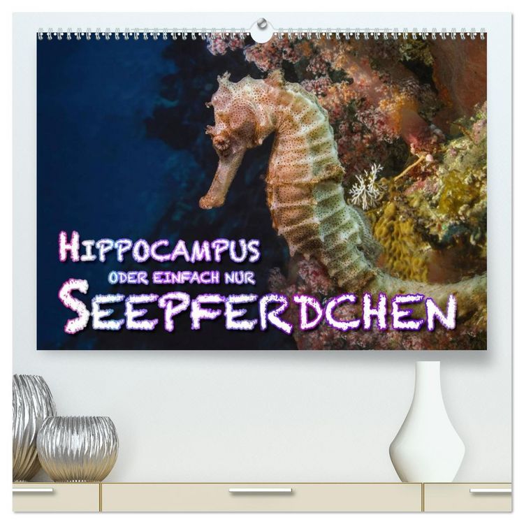 Produktbild: Hippocampus oder einfach nur Seepferdchen (hochwertiger Premium Wandkalender 2026 DIN A2 quer), Kunstdruck in Hochglanz