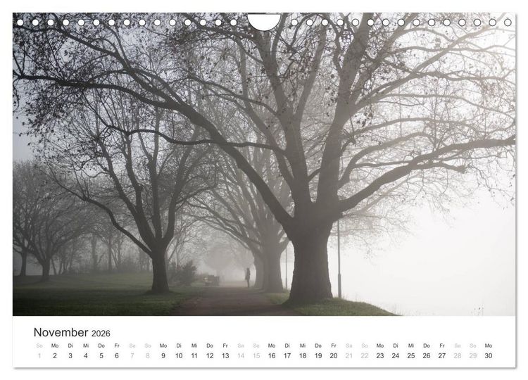 Produktbild: Du sch&ouml;nes Wiesbaden (Wandkalender 2026 DIN A4 quer), CALVENDO Monatskalender