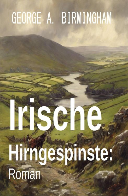Produktbild: Irische Hirngespinste: Roman