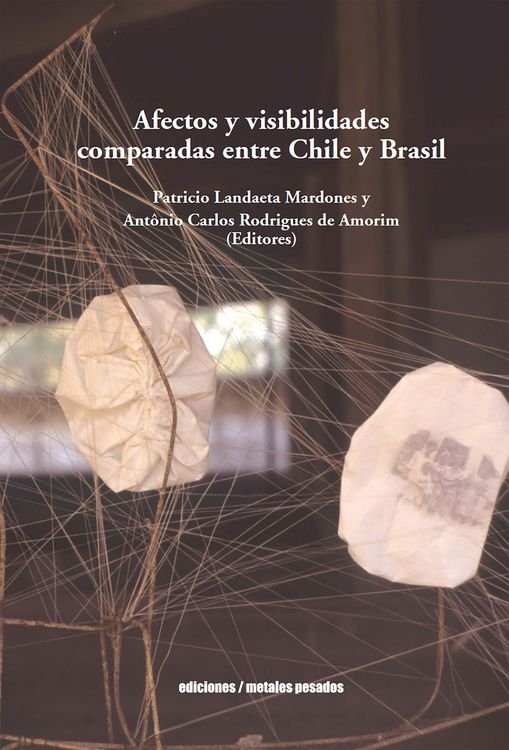 Produktbild: Afectos y visibilidades comparadas entre Chile y Brasil