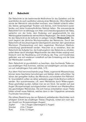 Produktbild: Hobbyweinbau. Anbau &ndash; Pflege &ndash; Weinbereitung