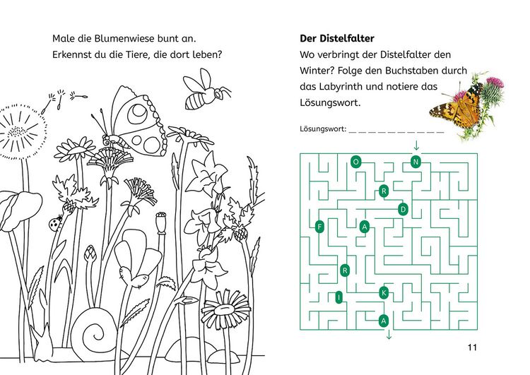 Produktbild: Lesen lernen mit Naturr&auml;tseln, B&uuml;cherhelden 2. Klasse, Insekten & Spinnen