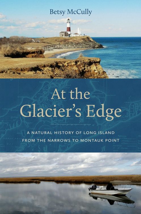 Produktbild: At the Glacier's Edge