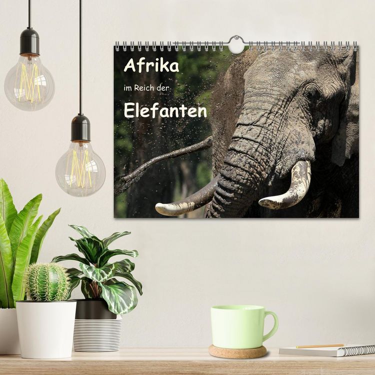 Produktbild: Afrika - im Reich der Elefanten (Wandkalender 2026 DIN A4 quer), CALVENDO Monatskalender