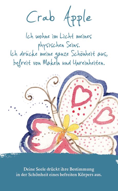 Produktbild: Die Bachbl&uuml;ten Karten