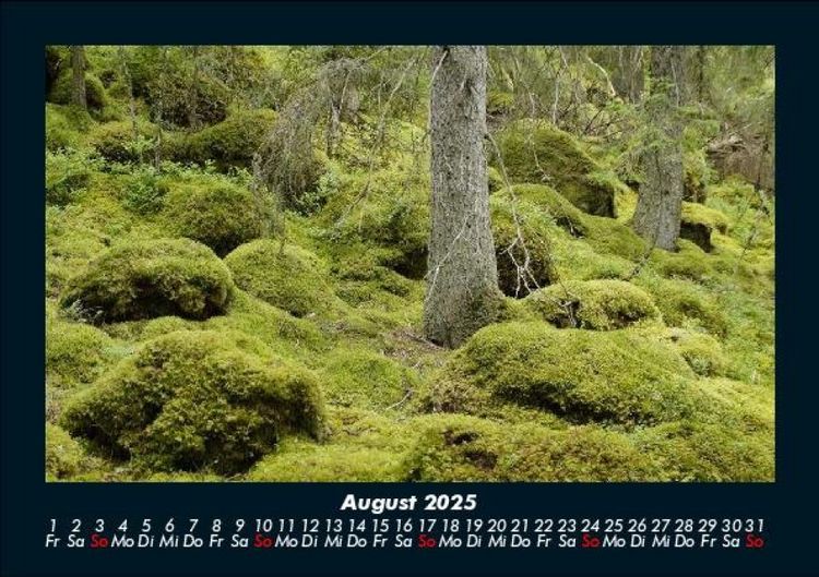 Produktbild: Landschaftskalender 2025 Fotokalender DIN A5